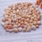 Agate Tumbled Stone, 3.53oz Lot Loose Undrilled Tumbled, Natural Smooth Stone, 25x16mm (Approx), 10-15 pieces, GemMartUSA (15002)